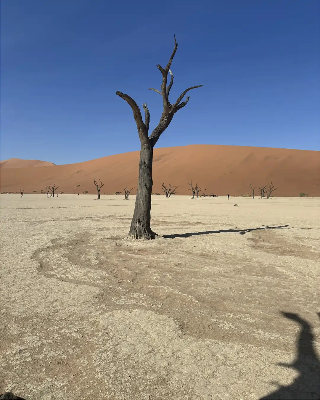 Namibian horizon